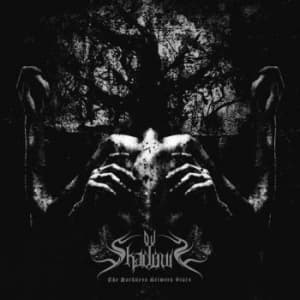 Ov Shadows - Darkness Between Stars The (Vinyl L (LP)