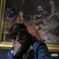 Miniatyrbillede 1 af 2: ELZhi - Seven Times Down Eight Times Up (LP)