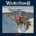 Miniatyrbild 1 av 2: Winterhawk - Revival (Orange Vinyl Lp) (LP)