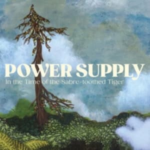 Power Supply - In The Time Of The Sabre-Toothed Ti (LP)