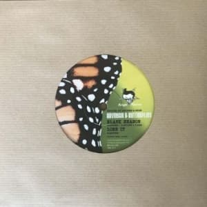Arvidson & The Butterflies - Blank Season (Vinylsingle)