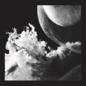 Jlin - Embryo (Maxisingle)