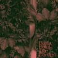 Pikkukuva 1 / 2: Basia Bulat - The Garden (LP)