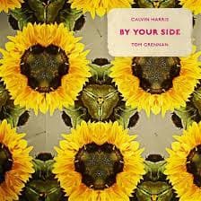 Calvin Harris Feat. Tom Grenna - By Your Side (LP)