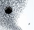 Pikkukuva 1 / 2: Wilco - Sky Blue Sky (2LP) US IMPORT (LP)