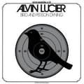 Pikkukuva 1 / 2: Lucier Alvin - Bird And Person Dying (LP)