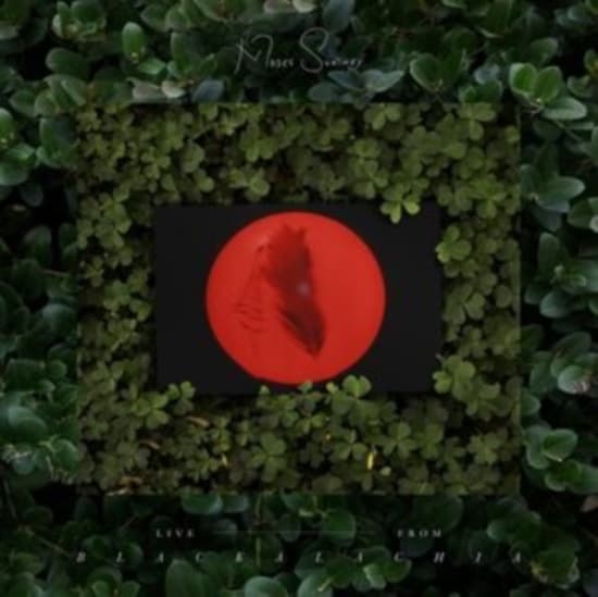 Moses Sumney - Live From Blackalachia (Clear Green (LP)