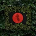 Miniatyrbilde 1 av 2: Moses Sumney - Live From Blackalachia (Clear Green (LP)