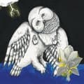 Miniatyrbillede 2 af 2: Songs: Ohia - Magnolia Electric Co. (Deluxe Ed.) (LP)
