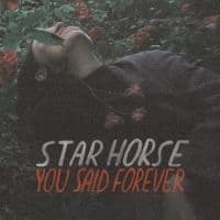 STAR HORSE - YOU SAID FOREVER (LP)