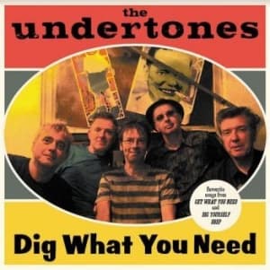 Undertones - Dig What You Need - Best Of 2003-20 (LP)