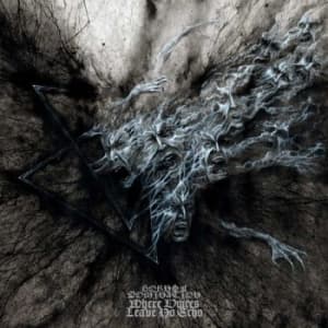 Horns Of Domination - Where Voices Leave No Echo (Black V (LP)