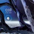Miniatyrbillede 1 af 2: Coil - Musick To Play In The Dark 2 (LP)