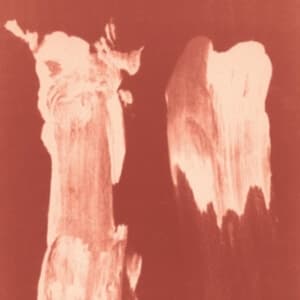 Talp Linnea - Arch Of Motion (LP)