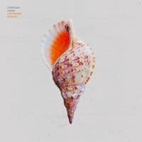 Christian Hjelm - Idiotsikker Manual (LP)