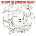 Pikkukuva 2 / 2: Pj Harvey - The Hope Six Demolition Project (Li (LP)