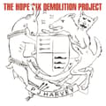 Pikkukuva 1 / 2: Pj Harvey - The Hope Six Demolition Project (Li (LP)