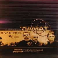 Tiamat - Skeleton Skeletron (Gold Vinyl) (LP)