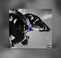 Pikkukuva 1 / 2: Port Noir - Cuts (Blue) (LP)
