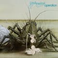 Pikkukuva 1 / 2: Birth Control - Operation (LP)