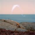 Miniatyrbilde 1 av 2: Jenkins Cassandra - An Overview On Phenomenal Nature (LP)
