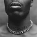 Miniatyrbild 1 av 2: Dmx - Exodus (LP)