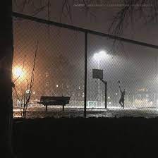 Ambarchi Oren / Johan Berthling / - Ghosted (LP)