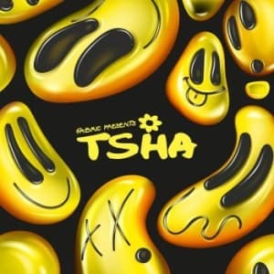 Blandade Artister - Fabric Presents Tsha (LP)