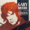 Miniatyrbild 1 av 2: Moore Gary - Live From London (LP)