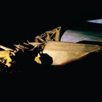 Holy Other - Lieve (LP)