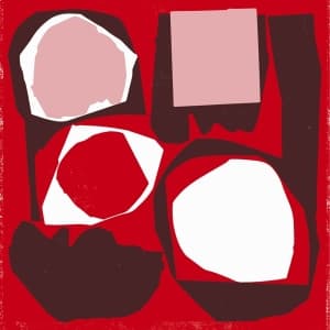 V/A - Mr Bongo Record Club 5