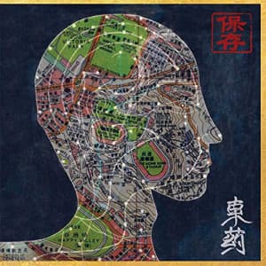 Preservation - Eastern Medicine, Western Illness (LP)