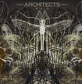 Miniatyrbild 1 av 2: Architects - Ruins (LP)