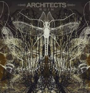 Architects - Ruins (LP)