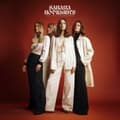 Pikkukuva 1 / 2: Sahara Hotnights - Love In Times Of Low Expectations ( (LP)