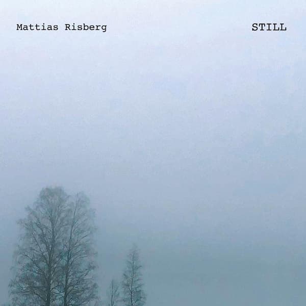 Mattias Risberg: Still (Vinyl, LP)