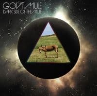 Gov't Mule - Dark Side Of The Mule (Glow In The Dark Vinyl - 2LP)