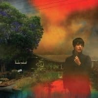 Sharon Van Etten - We've Been Going About This All Wro (LP)