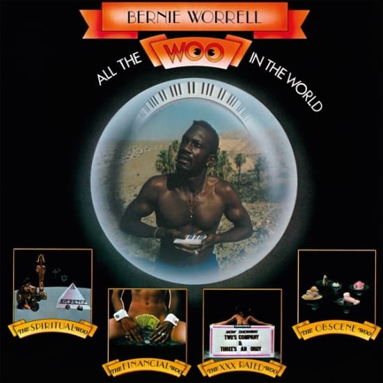 Bernie Worrell - All The Woo In The World (LP)