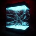 Pikkukuva 2 / 2: Scalping - Void (LP)
