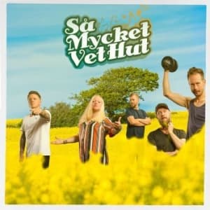 Vet Hut - Så Mycket Vet Hut (Gul Vinyl Lp + C (LP)