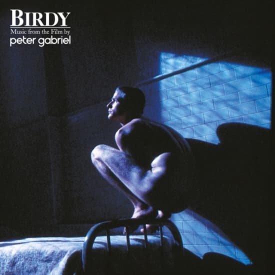 Peter Gabriel - Birdy (Vinyl) (LP)