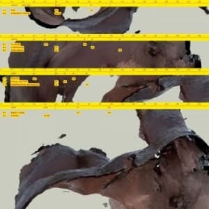 Awe Kid - Body Logic (LP)