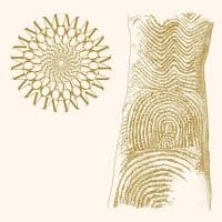 Moundabout - Flowers Rot Bring Me Stones (LP)