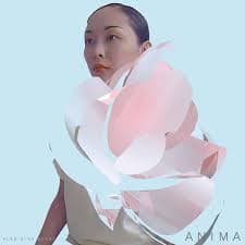 Vladislav Delay - Anima (LP)
