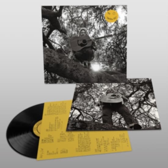 Segall Ty - "Hello, Hi" (LP)