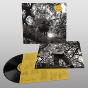 Segall Ty - "Hello, Hi" (LP)