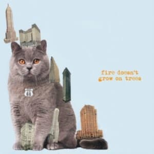Brian Jonestown Massacre - Fire Dosen't Grow On Trees (Vinyl L (LP)