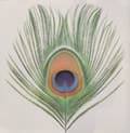 Miniatyrbilde 2 av 2: Xtc - Apple Venus (200 G.) (LP)