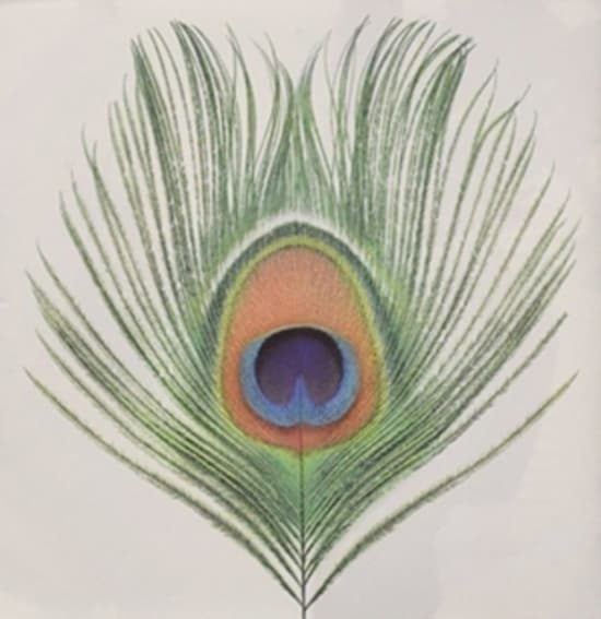 Xtc - Apple Venus (200 G.) (LP)